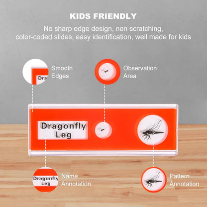 Minislides - 48 piece microscope slide set